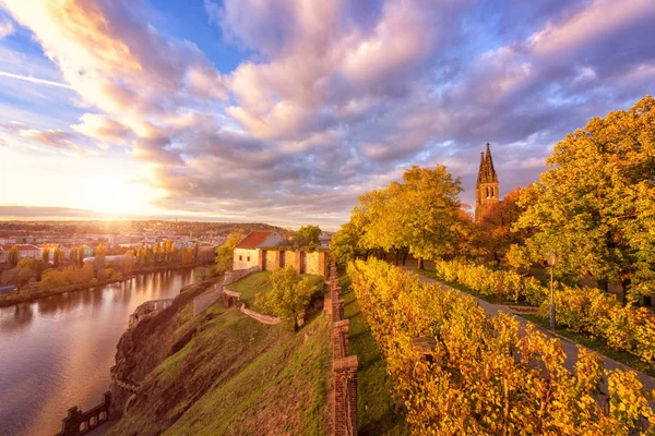 Autumn Prague Golden Sunset Vyshehrad Panoramic View Fortress Wall Vltava — Stock Photo, Image