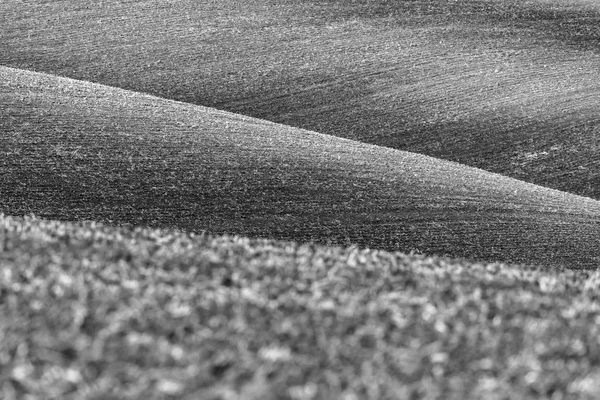 Natureza Fundo Abstrato Linhas Terra Preto Branco Sul Morávia República — Fotografia de Stock