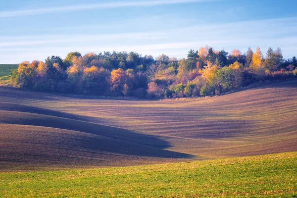 Verbazingwekkende Landschap Natuur Schilderij Van Landbouwgebied Kleur Golven — Stockfoto