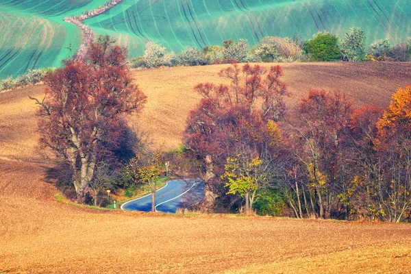 Schilderachtige Weg Door Herfst Agrarische Velden Kleurrijke Landschap Natuur Schilderen — Stockfoto