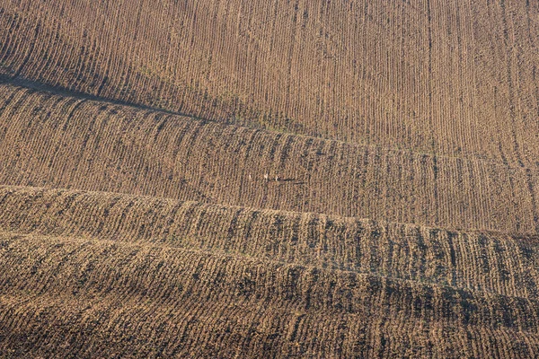 Panorama Campo Agrícola Paisagem Rural Morávia Sul Diferentes Tons Terra — Fotografia de Stock