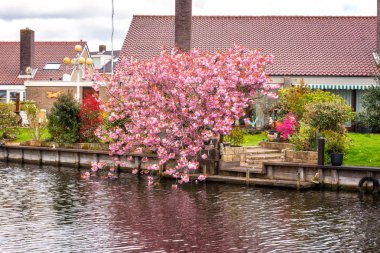 Küçük rahat Hollandalı köyü yakınlarında su, İlkbahar, güzel gündüz kırsal manzara, Hollanda
