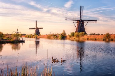 Yel değirmeni, mavi gökyüzü ve su yansıma ile doğal günbatımı manzara. Geleneksel Hollanda kırsal, doğal, Hollanda (Hollanda fabrikalarının ünlü Köyü)