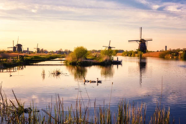 Festői Naplementét Táj Szélmalom Kék Tükörképét Vízben Hagyományos Holland Vidék — Stock Fotó