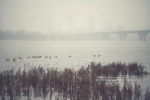 Вид Міст Патона Дніпра Густий Туман Туманний Краєвид Київ Столиця — стокове фото