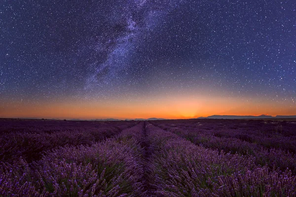Lavanta alanında Provence, yıldızlı gökyüzü, Samanyolu ve sıcaklık vermek-in sunrise, Fransa ile inanılmaz manzara geceleri