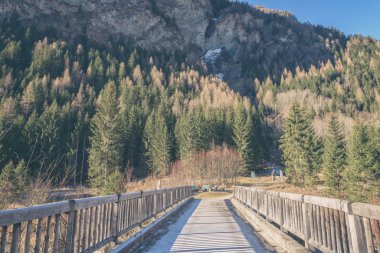 Milli Parkı Hohe Tauern, Alp Dağları, Carinthia, Avusturya küçük bir nehirde ahşap köprüden