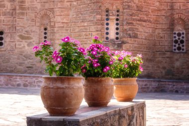 Manastırı Yunanistan'da, Thessaly Vadisi büyük Meteora avlusunda güzel pembe çiçekli vazo