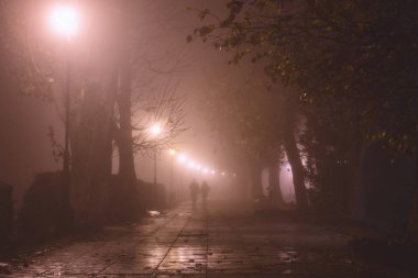 Gece şehir parkı, güzel misty yatay siluetleri, yanan fenerler, ağaçlar ve banklar sisli sokakta