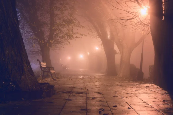 Gece şehir parkı, fenerler, ağaçlar ve banklar yanma ile güzel misty manzara sisli sokakta