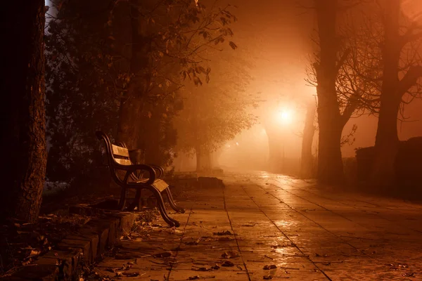 Туманна Алея Нічному Міському Парку Красивий Туманний Пейзаж Палаючими Ліхтарями — стокове фото