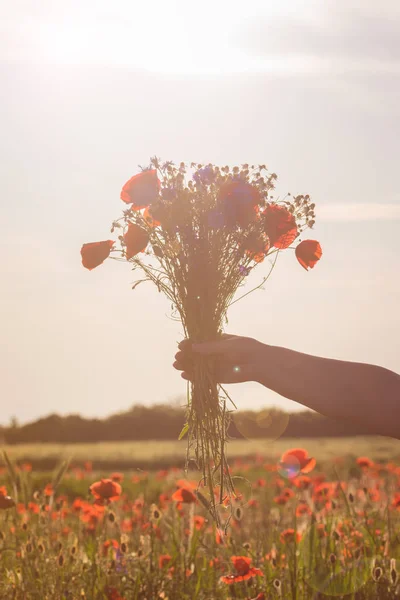 Ramillete Flores Silvestres Mano Una Mujer Suave Luz Del Atardecer — Foto de Stock