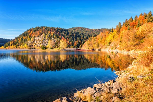 Paisagem Outono Incrível Com Lago Alpino Montanha Arborizada Cor Dourada — Fotografia de Stock