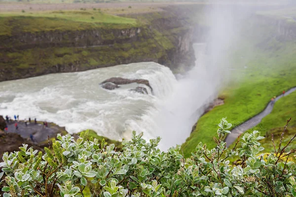 굴포스 폭포, 놀라운 자연, 아이슬란드 의 여름 풍경, 여행 배경 — 스톡 사진