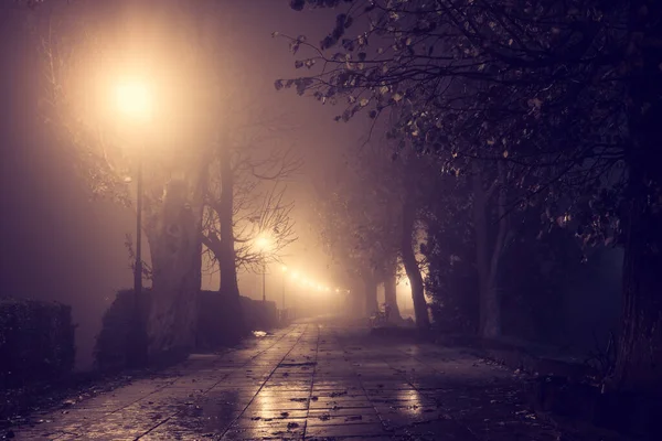 Misty Alley Parque Nocturno Ciudad Paisaje Urbano Místico Otoñal Con — Foto de Stock