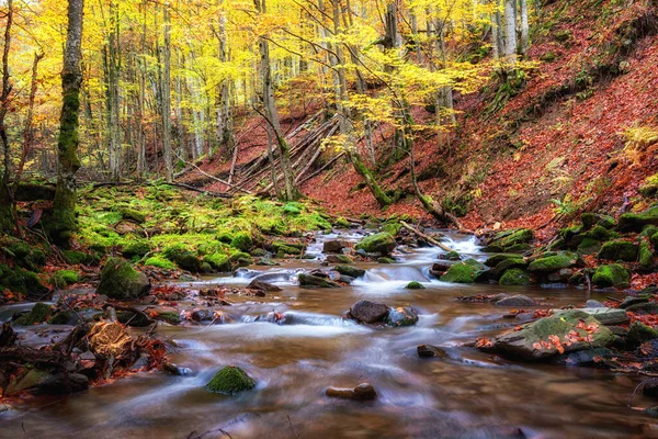 Amazing Autumn Landscape Colorful Forest Mountain Stream Nature Background Suitable — Stock Photo, Image