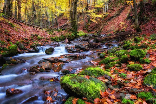 Amazing Autumn Landscape Colorful Forest Mountain Stream Nature Background Suitable — Stock Photo, Image