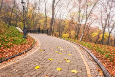 Güzel sonbahar parkı Volodymyrska Hirka veya Saint Volodymyr Hill, Ukrayna, Kiev, sisli sonbahar günü. Yaya yolu, ağaçlar ve renkli yaprakları olan manzaralı bir yer.