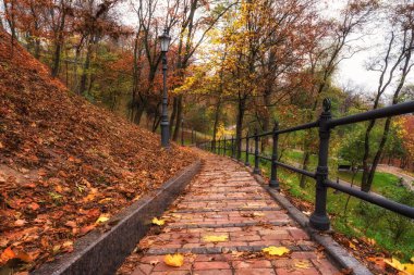 Güzel sonbahar parkı Volodymyrska Hirka veya Saint Volodymyr Hill, Ukrayna, Kiev, sisli sonbahar günü. Yaya yolu, ağaçlar ve renkli yaprakları olan manzaralı bir yer.
