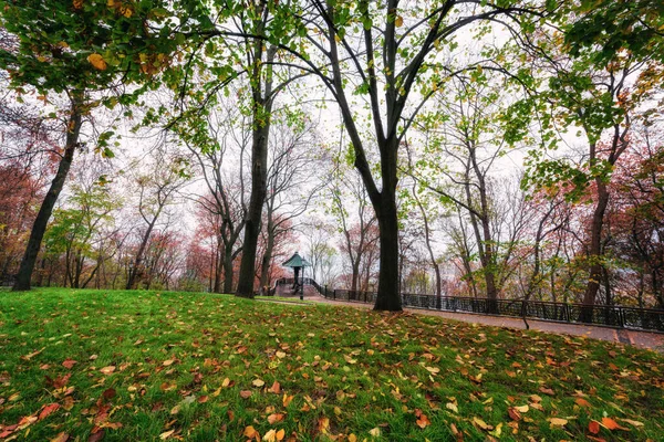 Schöne Herbstliche Park Volodymyrska Hirka Oder Saint Volodymyr Hill Nebligen — Stockfoto