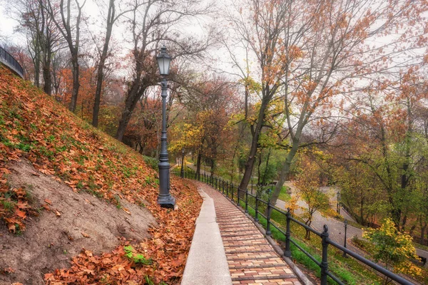 Красивый Осенний Парк Владимирская Хирка Холм Святого Владимира Туманный Поздний — стоковое фото