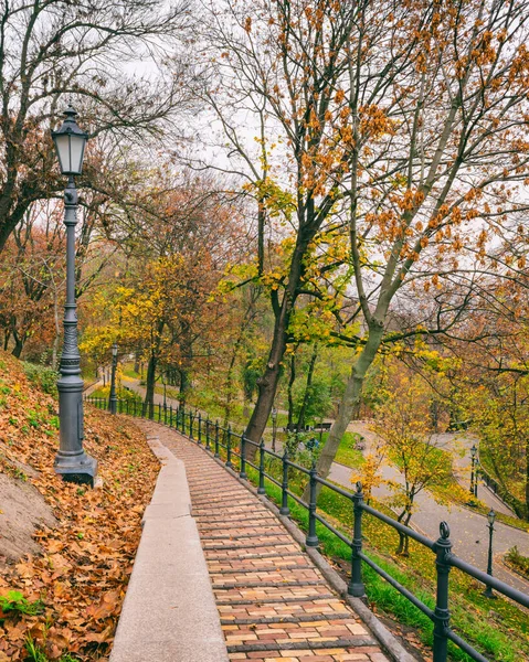 Schöne Herbstliche Park Volodymyrska Hirka Oder Saint Volodymyr Hill Nebligen — Stockfoto