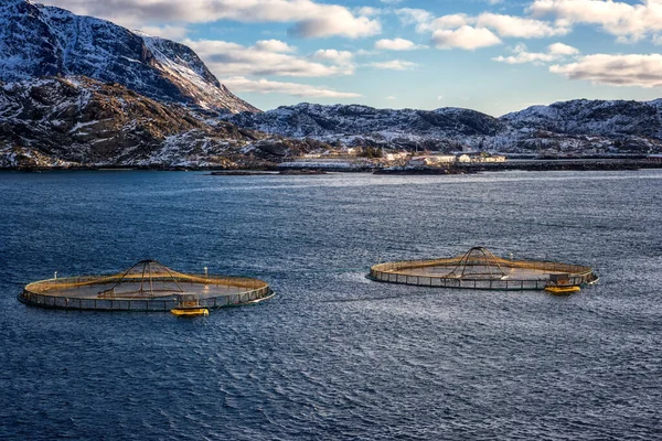 Salmon farm in norwegian fjord, scenic winter landscape with water, mountains and blue sky with clouds, Lofoten Islands, Norway. Outdoor agricultural background