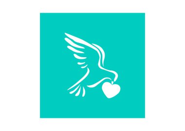 Güvercin, web simgesi. vektör tasarımı 