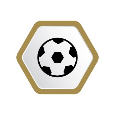 grafik vektör çizim üzerinde beyaz izole futbol topu 