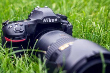 Kiev, Ukrayna 16.05.2018 - Nikon D850 kamera Closeup Nikkor 70-200 Lens ile bir çim