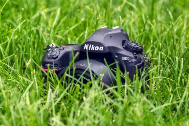 Kiev, Ukrayna 16.05.2018 - Nikon D850 kamera portre bir ot Nikkor 50 mm Lens ile