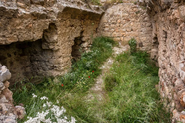 Mimari ve doğa Kritinia kale Rhodes island, Yunanistan