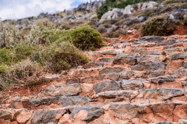 Preveli plaj avuç içi parkıyla adada Crete, Yunanistan .