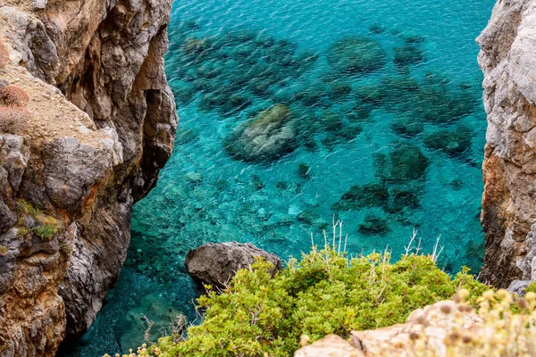 Preveli Beach Palms Park Crete Island Greece — Stock Photo, Image