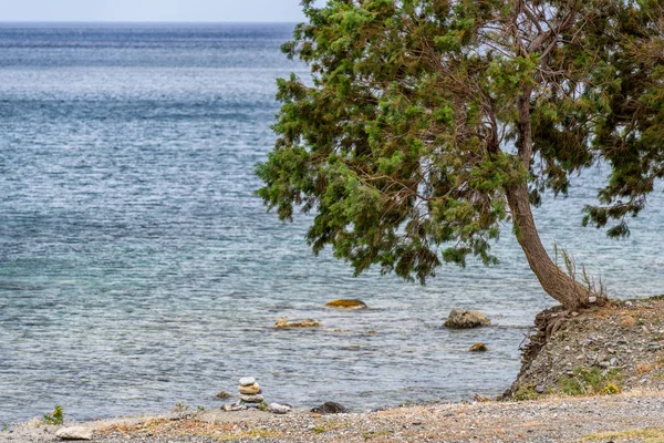 Preveli plaj avuç içi parkıyla adada Crete, Yunanistan .