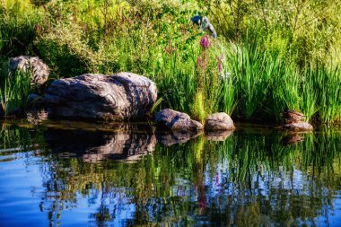 Park Mezhyhirya - eski Başkan Victor Yanukovich özel Villası