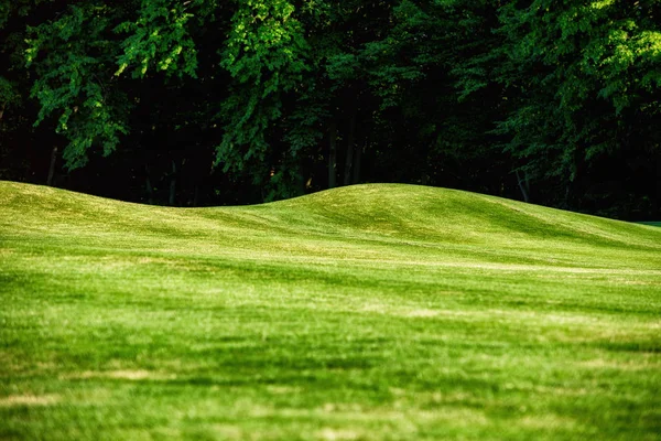 Park Mezhyhirya - eski Başkan Victor Yanukovich özel Villası