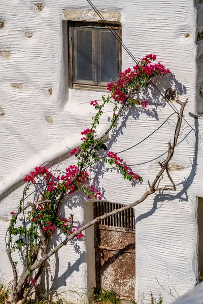 키클라데스 스타일 그리고 Lefkes 마에서 건축입니다 그리스 — 스톡 사진