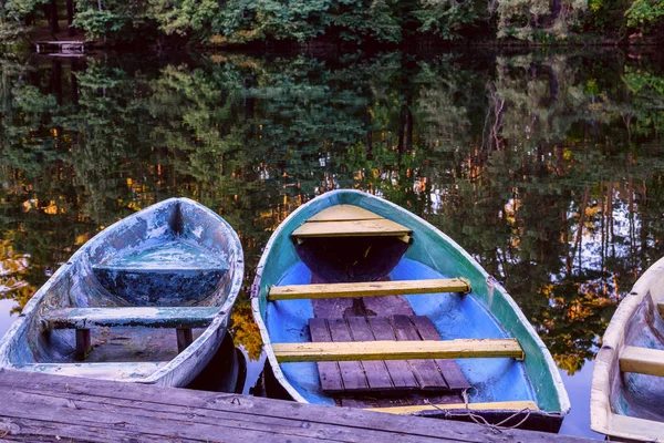 Automne Dans Parc Puscha Voditsa Ukraine — Photo