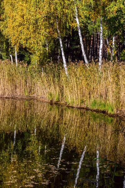 Private Jagdresidenz Des Präsidenten Sieger Janukowitsch Sukholuchya Ukraine — Stockfoto