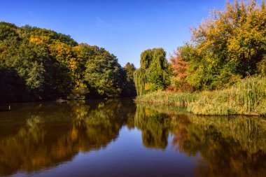 Sonbahar Kytaevo Manastırı Park, Kiev, Ukrayna