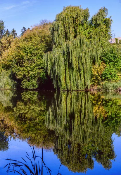 Outono Parque Mosteiro Kytaevo Kiev Ucrânia — Fotografia de Stock