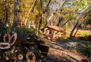 Sonbahar kumsalda Hydropark Kiev