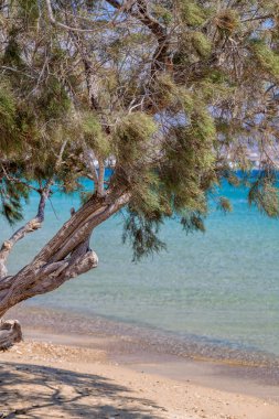 ANTIPAROS Island, Yunanistan ile kristal mavi su ve şaşırtıcı güzel doğası kez .