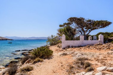 Palm beach (Agia Irini) Paros Adası, Yunanistan. Cyclades Adaları'nda büyük avuç içi ile pitoresk Yunan plaj