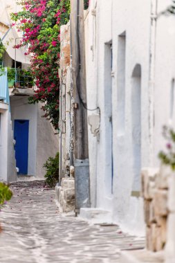 Tipik cyclades tarzı renkli çiçeklerle Parikia kasaba Paros Island, Yunanistan
