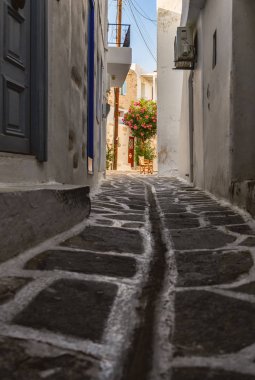 Tipik cyclades tarzı renkli çiçeklerle Parikia kasaba Paros Island, Yunanistan