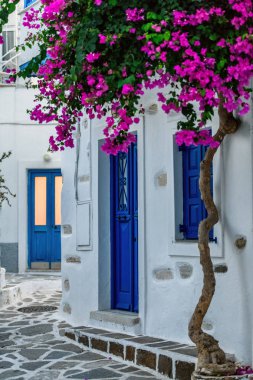 Tipik cyclades tarzı renkli çiçeklerle Parikia kasaba Paros Island, Yunanistan