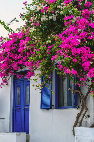 Tipikus Cyclades Stílus Színes Virágok Parikia Város Szigeten Paros Görögország — Stock Fotó