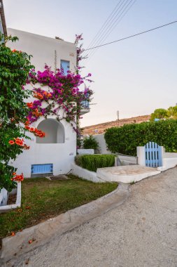 Tipik cyclades tarzı: Paros Island, Yunanistan renkli çiçeklerle